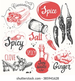 Sketch set with soy sauce, cloves, salt, pepper, cinnamon. Vector illustration with sketch spice. Funny labels of fresh seasonings and spices. 