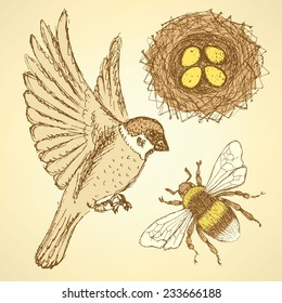 Sketch set with sparrow, bee and nest in vintage style, vector