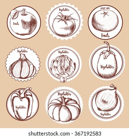 Sketch set of vegetable logos in vintage style, vector