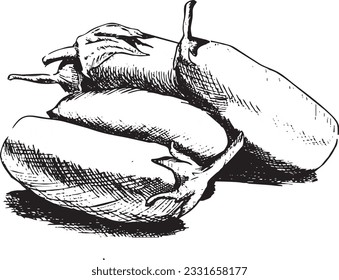 A sketch of several eggplants. Vector illustration
