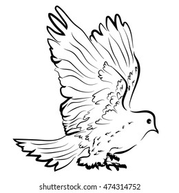 sketch shape Dove Bird Poultry beast icon cartoon design abstract illustration animal