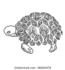 sketch shape turtle sea icon cartoon design abstract illustration animal