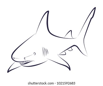 Sketch of shark