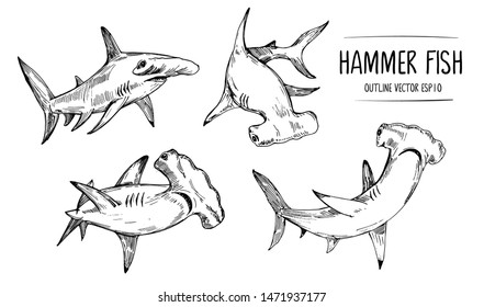 Sketch of shark, hummer fish. Hand drawn illustration converted to vector
