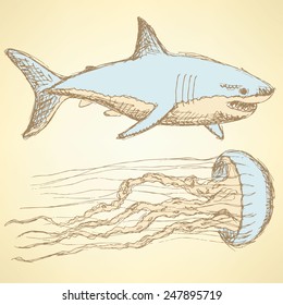 Sketch shark and jellyfish in vintage style, vector
