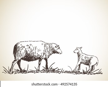 Sketch of sheep and lamb playful, Hand drawn vector illustration