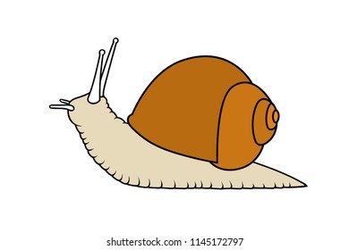 Sketch shell concept isolated on white Vector