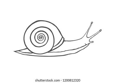 Sketch shell concept isolated on white Vector