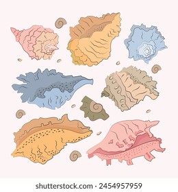 The sketch of shells with a line and a spot. Simple hand drown picture. Orange, pink, blue colours. Vector illustration.