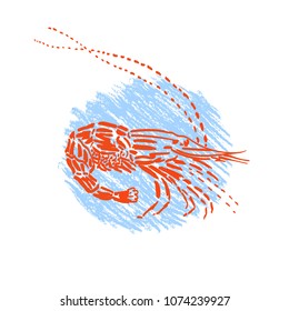 Sketch of shrimp on a blue background