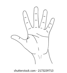 Sketch Sign Hi Hand Five Fingers Stock Vector (Royalty Free) 2173239713 ...