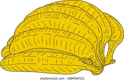 Sketch silhouette sketch bananas on white background illustration.