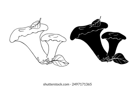 Sketch, silhouette of botanical compositions with autumn mushrooms and forest plants, conifers, dry leaves. Vector graphics.