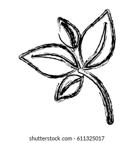 sketch silhouette of branch with leafs vector illustration