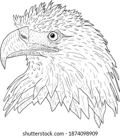 Sketch silhouette sketch eagle face on white background illustration