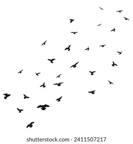 Sketch silhouette of a flock of flying black birds, takeoff, flying, flight, flutter, fly, hover, soar, landing, isolated vector