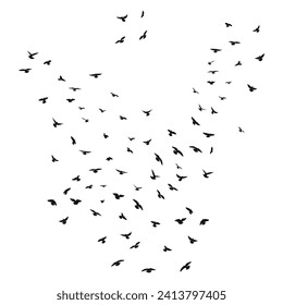 Sketch silhouette of a flock of flying black birds, takeoff, flying, flight, flutter, fly, hover, soar, landing, isolated vector