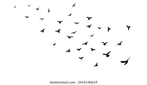 Esbozo de una bandada de aves negras voladoras, despegue, vuelo, vuelo, flauta, vuelo, vuelo, vuelo, vuelo, vuelo, soga, aterrizaje, vector aislado
