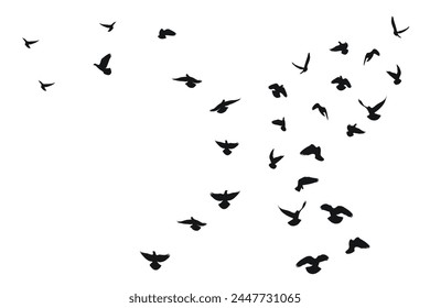 Sketch silhouette of a flock of flying black birds, takeoff, flying, flight, flutter, fly, hover, soar, landing, isolated vector
