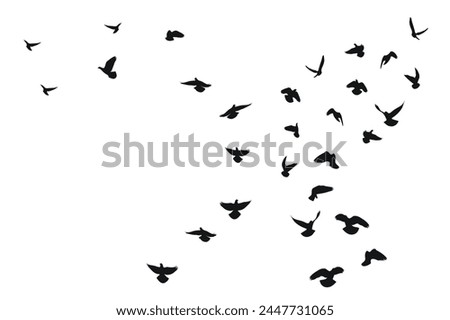 Sketch silhouette of a flock of flying black birds, takeoff, flying, flight, flutter, fly, hover, soar, landing, isolated vector
