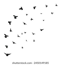 Sketch of a silhouette of a flock of migrating, flying birds. Takeoff, flying, flight, flutter, fly, hover, soar, landing, isolated vector