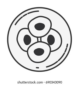 sketch silhouette of front view division of the ovule in cells vector illustration