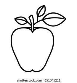 sketch silhouette image apple fruit with stem and leaves vector illustration
