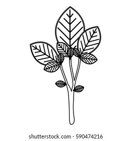 sketch silhouette large ramifications with oval leaves vector illustration