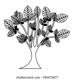 sketch silhouette leafy tree with trunk nature icon vector illustration