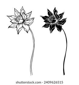 Sketch, silhouette of a lotus flower. Vector graphics.