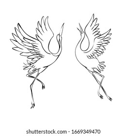Sketch and silhouette or shadow black ink icons of crane birds or herons flying and standing set.
