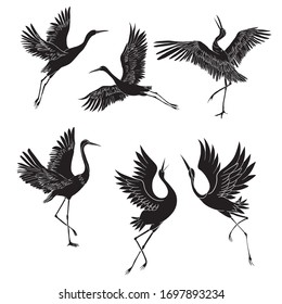 Sketch and silhouette or shadow black ink icons of crane birds or herons flying and standing set.