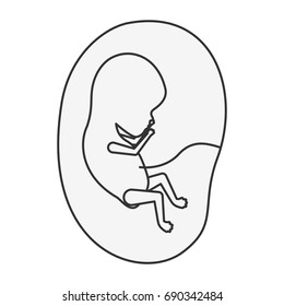 sketch silhouette of side view fetus human growth in placenta a few weeks vector illustration