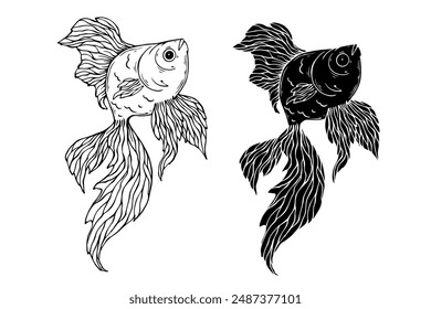 Sketch, silhouette, stamp of a decorative goldfish. Vector graphics.