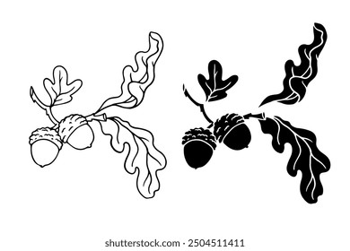 Sketch, silhouette, stamp of oak branch with acorns. Seasonal botanical element. Vector graphics.