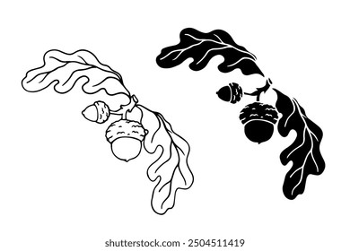 Sketch, silhouette, stamp of oak branch with acorns. Seasonal botanical element. Vector graphics.