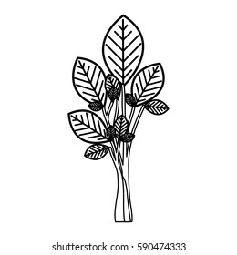 sketch silhouette tree plant with few leaves vector illustration