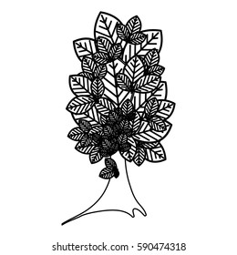 sketch silhouette tree plant with several leaves vector illustration