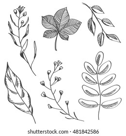 Decorative Vector Black White Plants Stock Vector (Royalty Free) 674181436