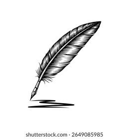 Sketch of a single feather with intricate details and black ink stroke, classic stationery illustration isolated on white background