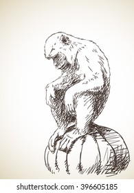 Esbozo del mono sentado y durmiendo, ilustración dibujada por la mano