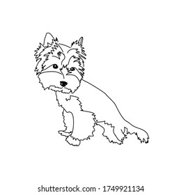 Esbozo de un Terrier en Yorkshire. Imagen lineal de un perro pequeño