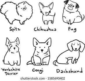 sketch of six breeds of cute small dogs, vector lineart