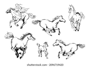 Sketch sketching hand-drawn drawing horse galloping rider. Vector illustration