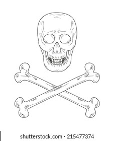sketch of the skull and bones on white background, vector