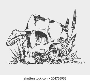 Sketch skull. Mushrooms and wheat. Vector illustration.