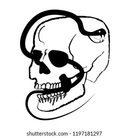 A sketch of skull with a snake. Vector sketch illustration