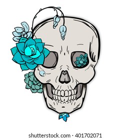Sketch sKull with succulents, vector
