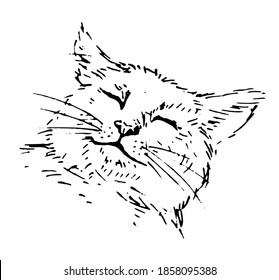 A sketch of a sleeping cat. Black and white vector drawing.