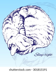 Sketch of a Sleeping Home Cat